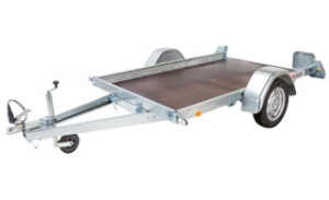 Expert PLM170F 300x170cm